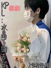 KPL：水晶下的告白