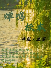 蟬鳴標本