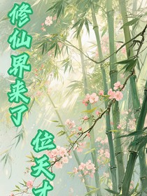 修仙界来了位天才