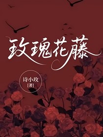 玫瑰花藤