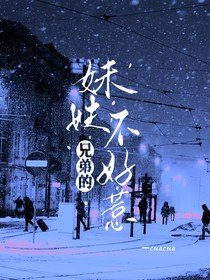 兄弟的妹妹不好惹