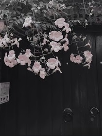 你微笑时很美：诚易（迁）