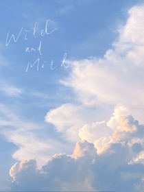 追夕阳