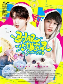 TOP：来自喵星的她