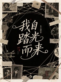 我自踏光而来
