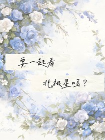 一起去看北极星