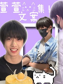 萱萱文案集