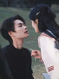 综影视：她的爱人遍布世界