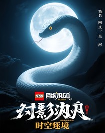 乐高幻影忍者：时空之境