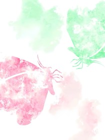 所愿期至