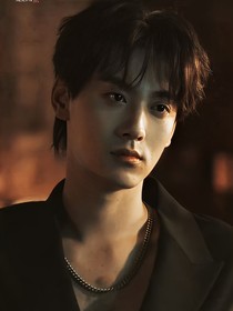 综影视：午夜万人迷