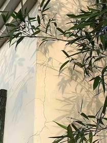 圣良：你要抓我嗎？