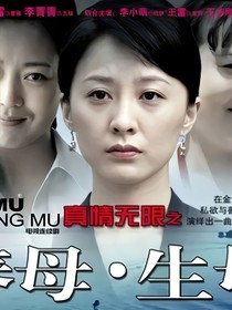 真情無限之養(yǎng)母親母電視劇