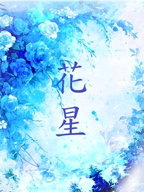 花星：飞星传恨，佳期如梦
