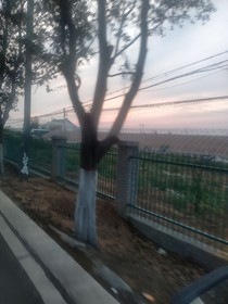 长相思之孤儿