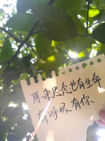 下雨天的喜歡