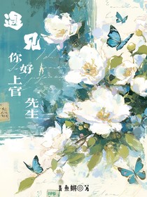 遇見你好上官先生