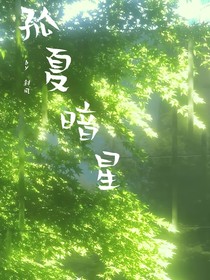 孤夏暗星