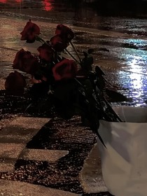 水果公主大作戰(zhàn)