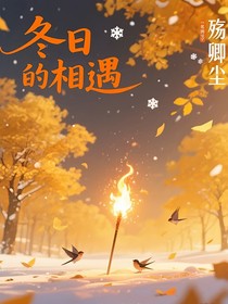 冬日的相遇