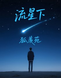 流星下（狐羡苑原著）