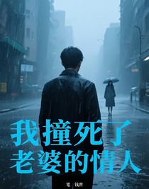 我撞死了老婆的情人