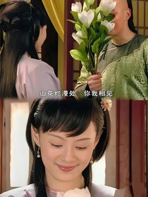 甄嬛传后宫高手如云