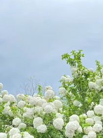 零號(hào)世界線的志怪錄