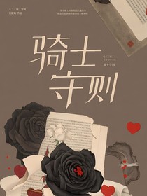 斗二：骑士守则