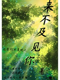 來(lái)不及見(jiàn)你