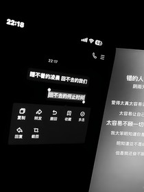 破碎鏡中的完整
