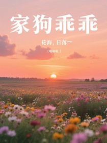 家狗乖乖