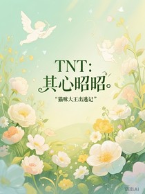 TNT：其心昭昭