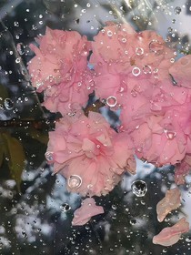 同人脑洞