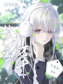 星穹铁道：许你繁星万千