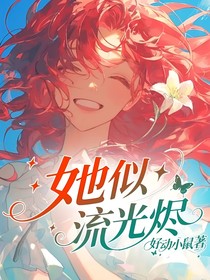 她似流光燼
