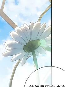 oc小說集