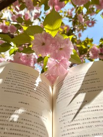 斗龍：無(wú)名無(wú)諱