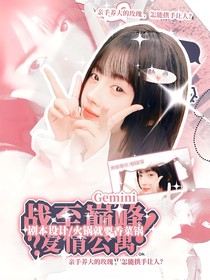 战至巅峰：爱情公寓——Gemini