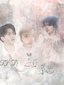 TNT：白夜尋光