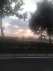 少白之羽毛