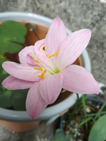 水瓶在人间