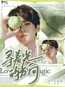 all真……尋著光的方向