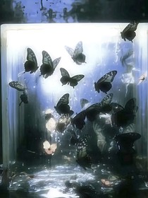 蝕銹之籠