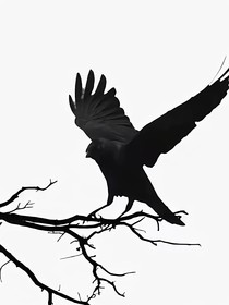 邊水往事——是非成敗轉(zhuǎn)頭空