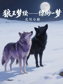 狼王夢續(xù)——縹緲一夢