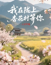 我在陇上杏花村等你