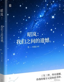 昭岚：我们之间的遗憾