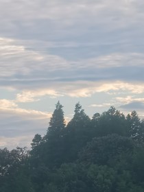 医锦劫