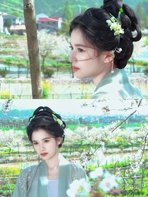 書卷一夢(mèng)：玉